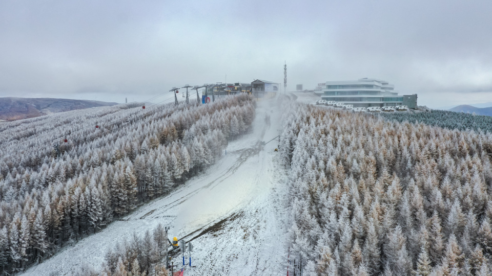 将与其他雪, 将承办多项 将与其他雪, 将承办多项