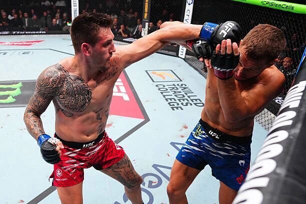 取得, Belga, Reini